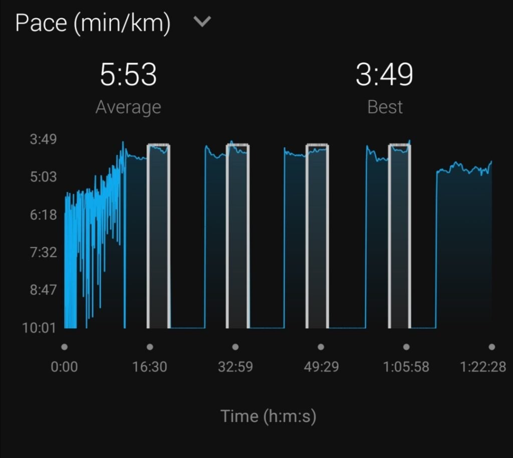 Garmin connect stats for fenix 5